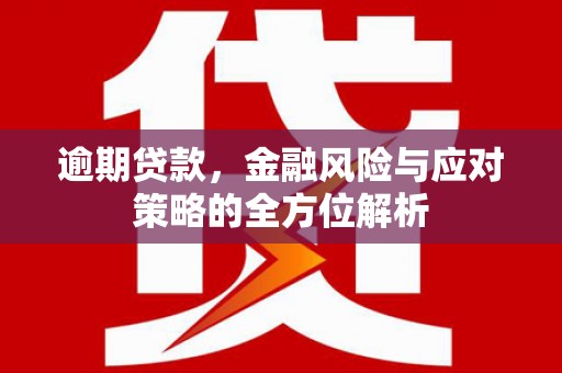 新埔逾期贷款，金融风险与应对策略的全方位解析