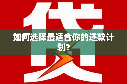 新埔如何选择最适合你的还款计划？