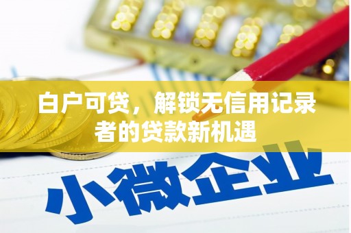 新埔白户可贷，解锁无信用记录者的贷款新机遇