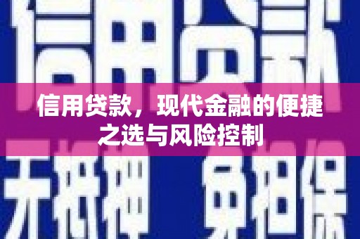新埔信用贷款，现代金融的便捷之选与风险控制