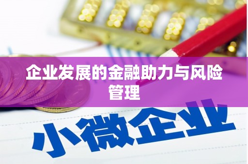 新埔企业发展的金融助力与风险管理