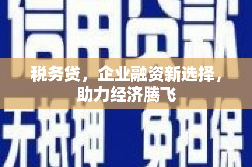 新埔税务贷，企业融资新选择，助力经济腾飞