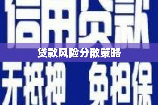 新埔贷款风险分散策略