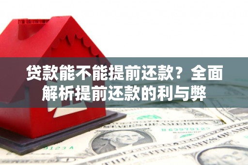 新埔贷款能不能提前还款？全面解析提前还款的利与弊