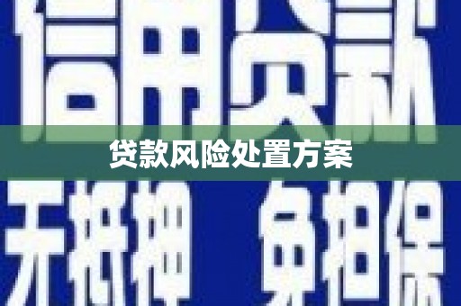 新埔贷款风险处置方案