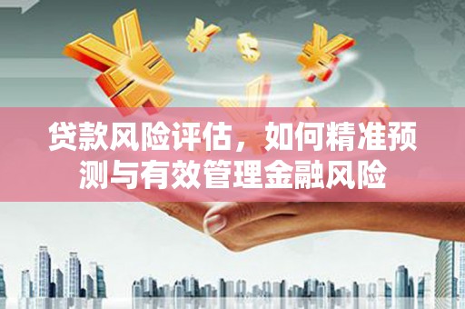 新埔贷款风险评估，如何精准预测与有效管理金融风险