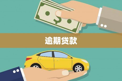 新埔逾期贷款