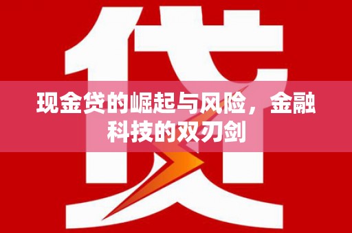 新埔现金贷的崛起与风险，金融科技的双刃剑