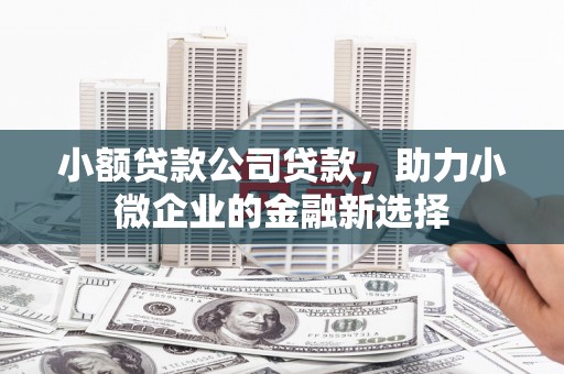 新埔小额贷款公司贷款，助力小微企业的金融新选择