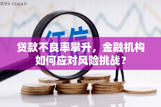 新埔贷款不良率攀升，金融机构如何应对风险挑战？