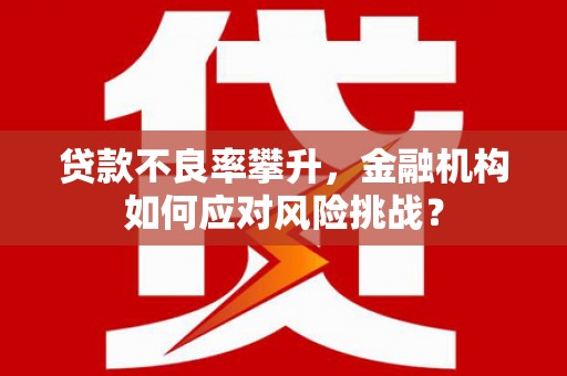 新埔贷款不良率攀升，金融机构如何应对风险挑战？