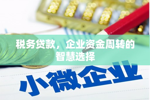 新埔税务贷款，企业资金周转的智慧选择