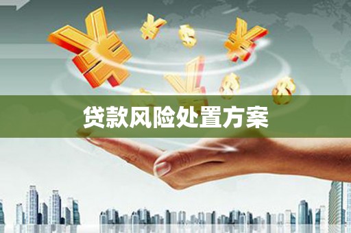 新埔贷款风险处置方案