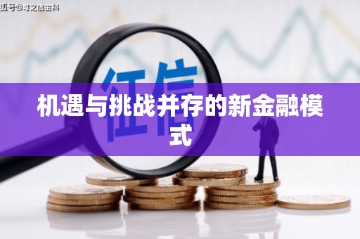 新埔机遇与挑战并存的新金融模式