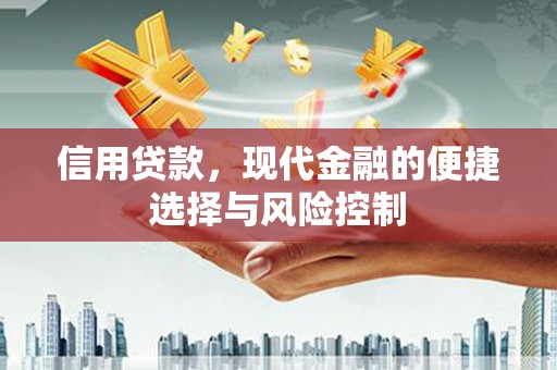 新埔信用贷款，现代金融的便捷选择与风险控制