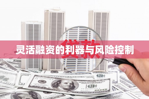 新埔灵活融资的利器与风险控制