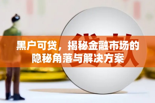 新埔黑户可贷，揭秘金融市场的隐秘角落与解决方案