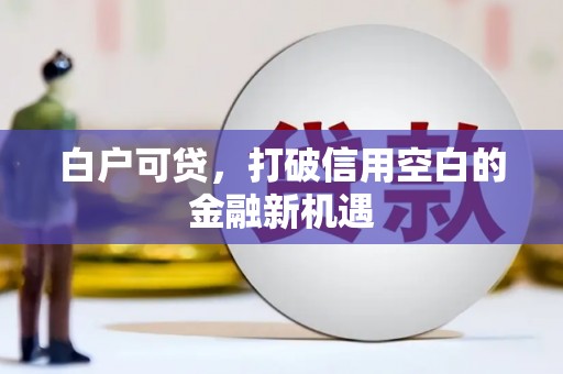 新埔白户可贷，打破信用空白的金融新机遇