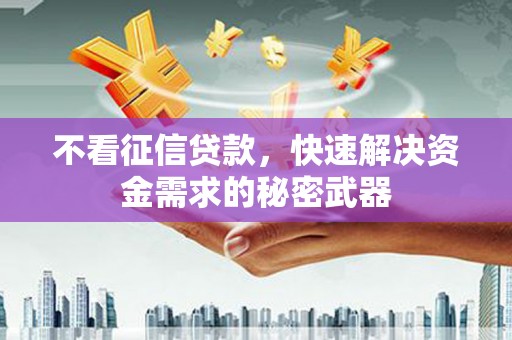 新埔不看征信贷款，快速解决资金需求的秘密武器