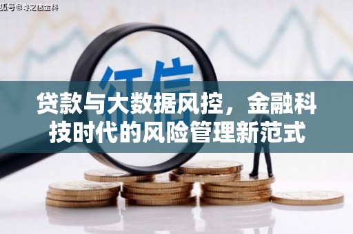 新埔贷款与大数据风控，金融科技时代的风险管理新范式