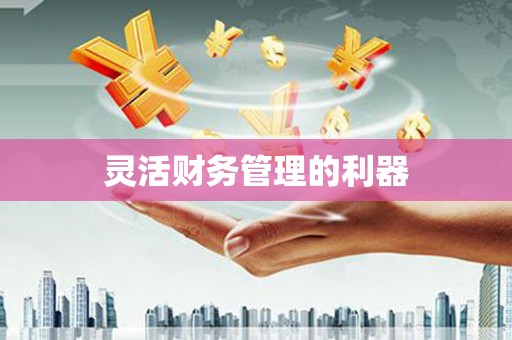 新埔灵活财务管理的利器