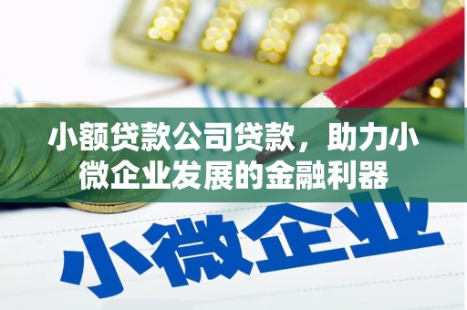 新埔小额贷款公司贷款，助力小微企业发展的金融利器