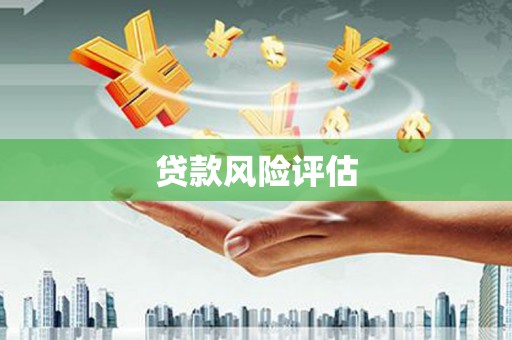 新埔贷款风险评估