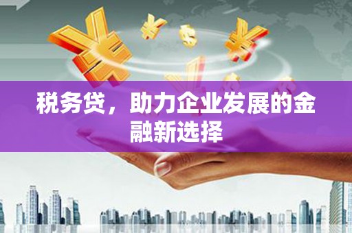 新埔税务贷，助力企业发展的金融新选择