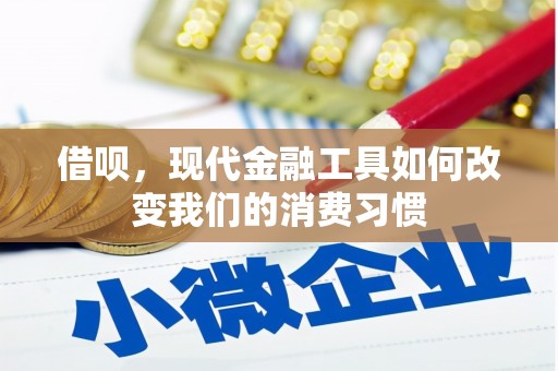 新埔借呗，现代金融工具如何改变我们的消费习惯