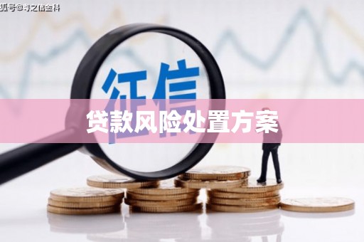 新埔贷款风险处置方案
