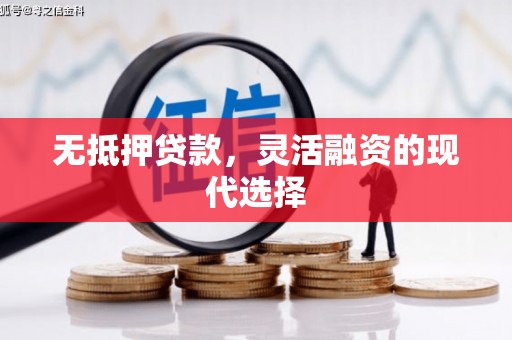 新埔无抵押贷款，灵活融资的现代选择