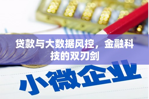 新埔贷款与大数据风控，金融科技的双刃剑