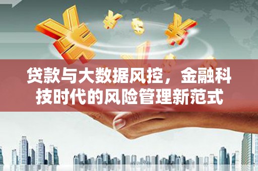 新埔贷款与大数据风控，金融科技时代的风险管理新范式