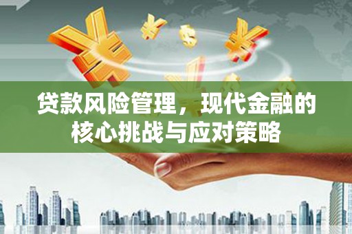 新埔贷款风险管理，现代金融的核心挑战与应对策略