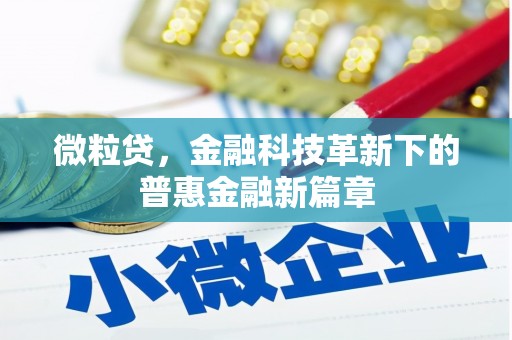 新埔微粒贷，金融科技革新下的普惠金融新篇章