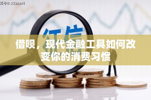 新埔借呗，现代金融工具如何改变你的消费习惯