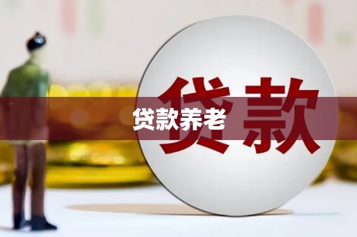 新埔贷款养老