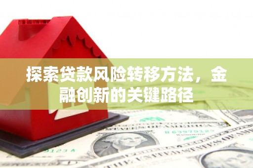 新埔探索贷款风险转移方法，金融创新的关键路径