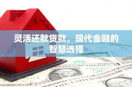 新埔灵活还款贷款，现代金融的智慧选择