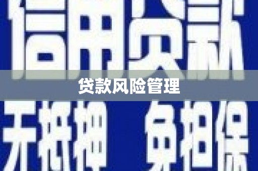 新埔贷款风险管理