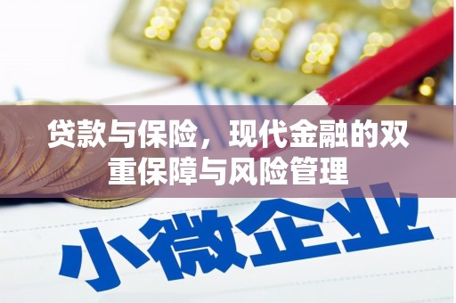 新埔贷款与保险，现代金融的双重保障与风险管理
