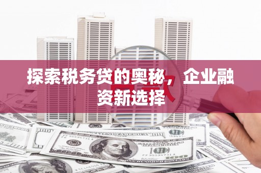 新埔探索税务贷的奥秘，企业融资新选择