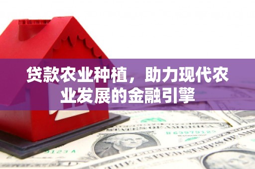 新埔贷款农业种植，助力现代农业发展的金融引擎