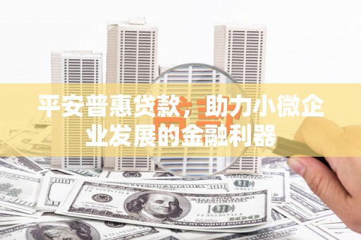 新埔平安普惠贷款，助力小微企业发展的金融利器