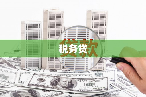 新埔税务贷