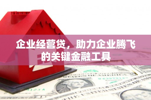 新埔企业经营贷，助力企业腾飞的关键金融工具
