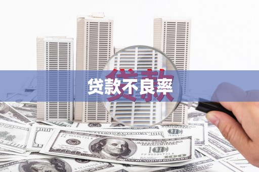 新埔贷款不良率