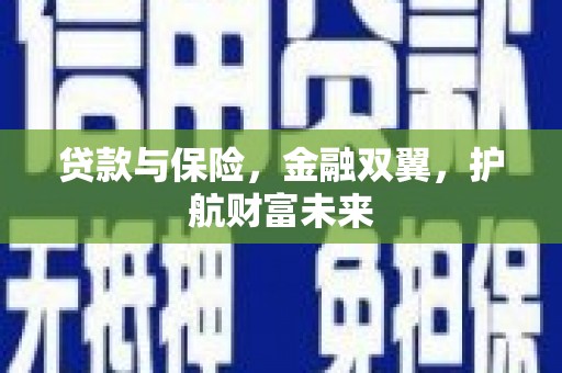 新埔贷款与保险，金融双翼，护航财富未来