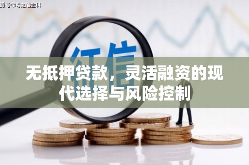 新埔无抵押贷款，灵活融资的现代选择与风险控制