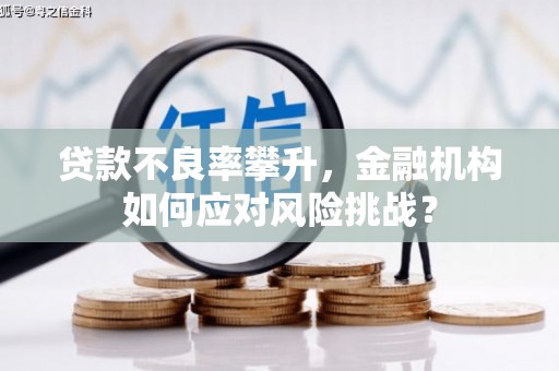 新埔贷款不良率攀升，金融机构如何应对风险挑战？